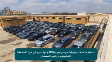 أسعار مذهلة.. سيارات مرسيدس وBMW وكيا للبيع في مزاد الخدمات الحكومية بأرخص الأسعار